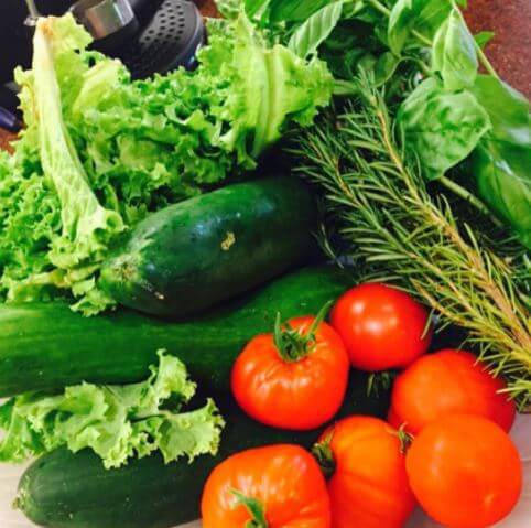 Vegetables Paul Taylor wife Jennifer Taylor grew in her garden.